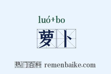 萝卜是什么意思的图片